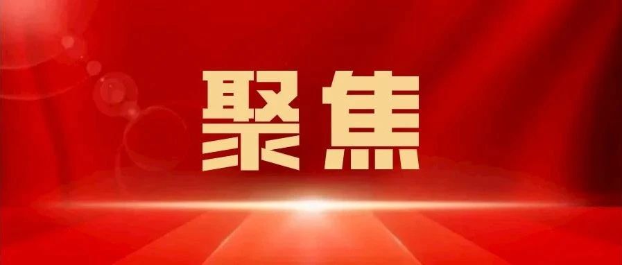 惠州市政府工作报告来了！2025年这样干！